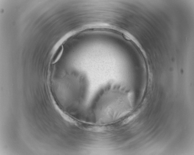 X0000052941245200507221138