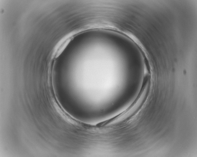 X0000052941246200507221138