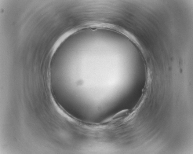 X0000052941247200507221138