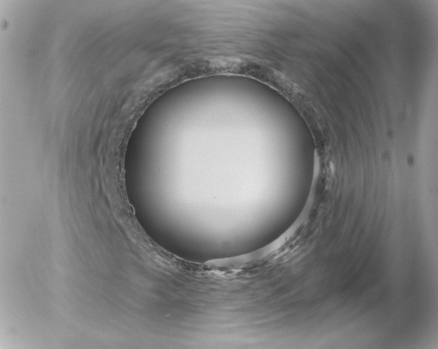 X0000052941249200507221138