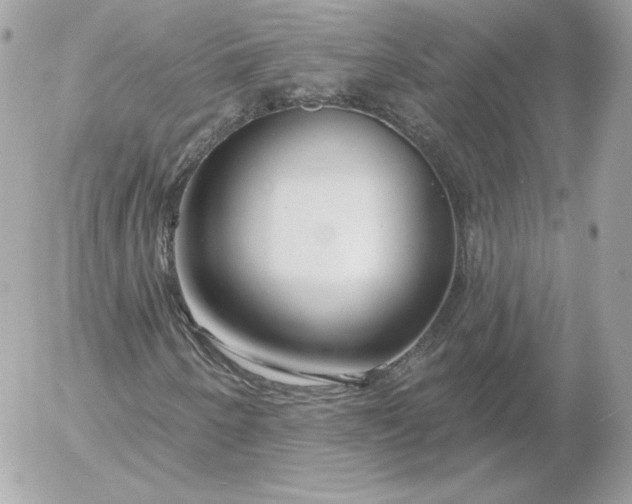 X0000052941250200507221138