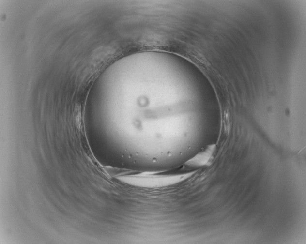 X0000052941251200507221138