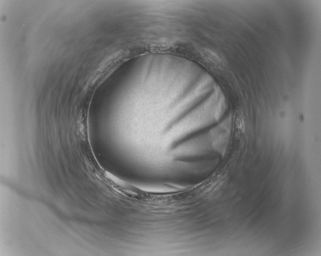 X0000052941252200507221138