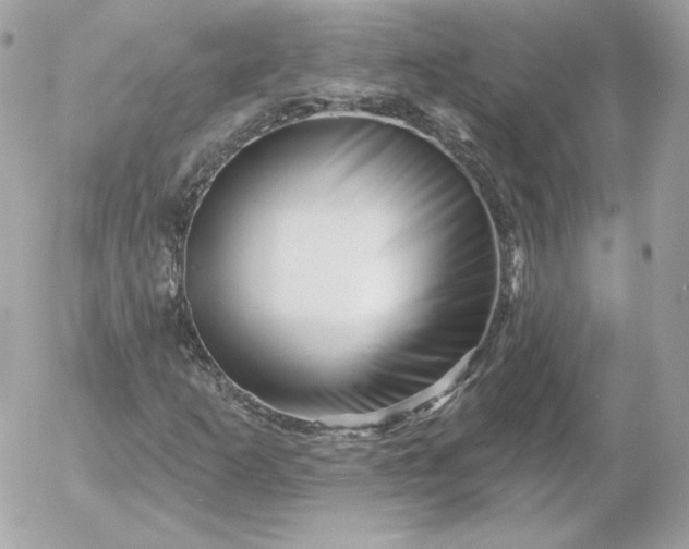 X0000052941253200507221138