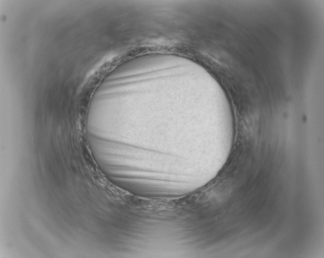 X0000052941254200507221138