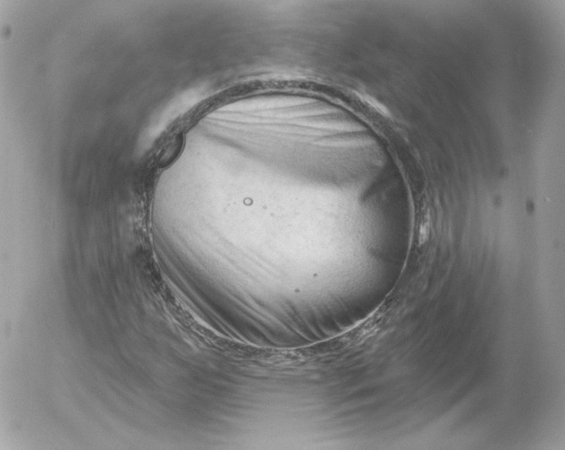 X0000052941255200507221138