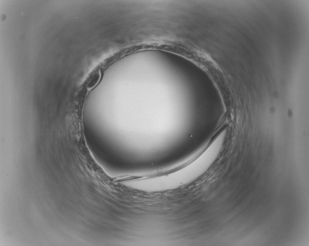 X0000052941256200507221138