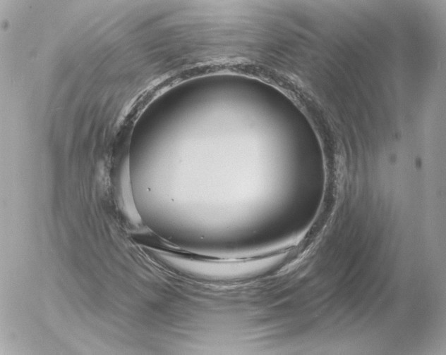 X0000052941257200507221138