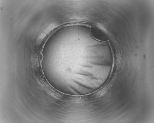 X0000052941259200507221138