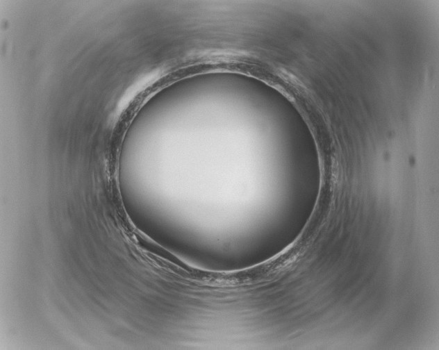 X0000052941261200507221138