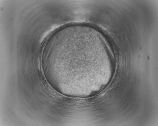 X0000052941262200507221138