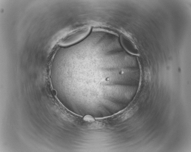 X0000052941263200507221137