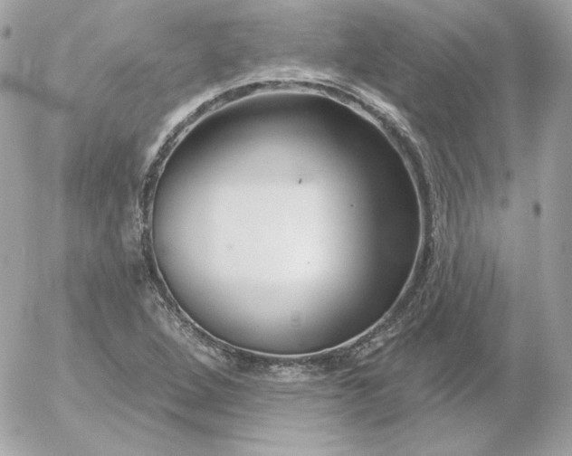 X0000052941264200507221137