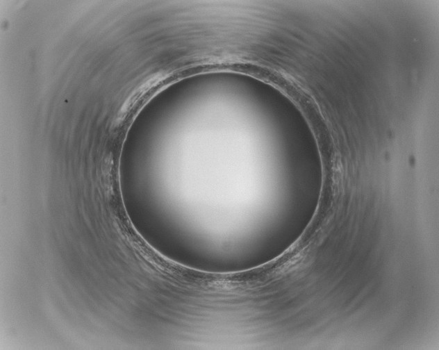 X0000052941265200507221137