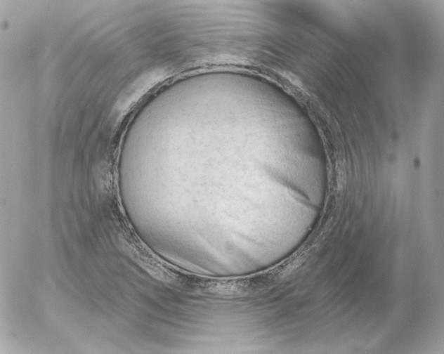 X0000052941266200507221137