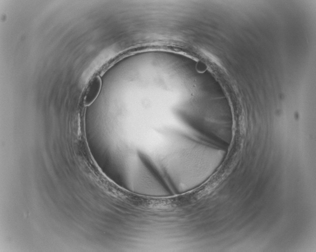 X0000052941267200507221137