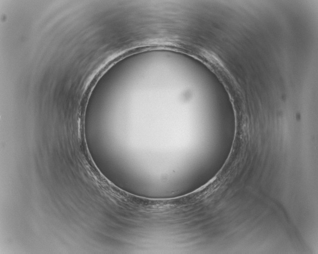 X0000052941268200507221137