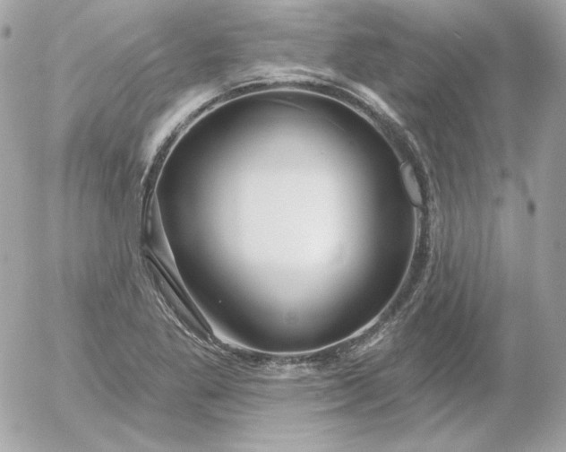 X0000052941269200507221137