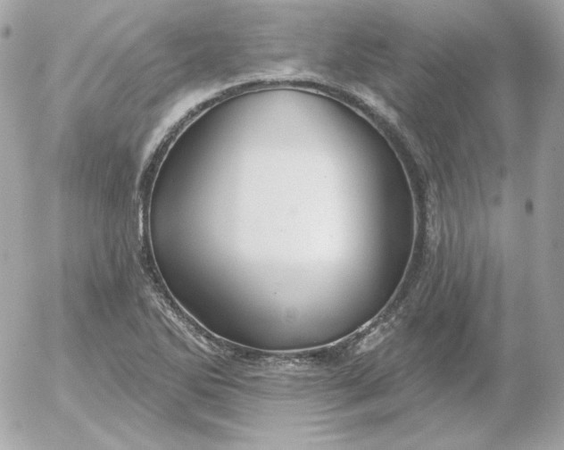 X0000052941270200507221137