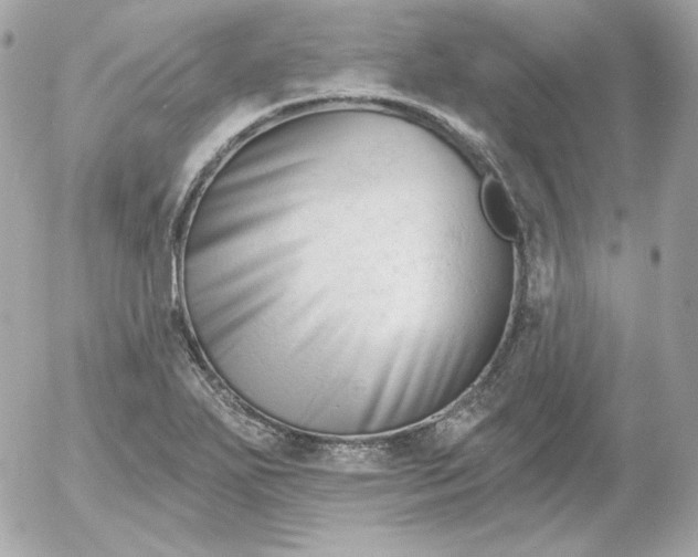 X0000052941271200507221137