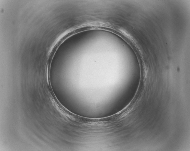 X0000052941272200507221137