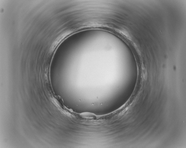 X0000052941273200507221137