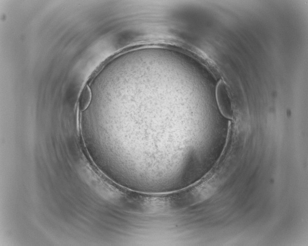 X0000052941275200507221137