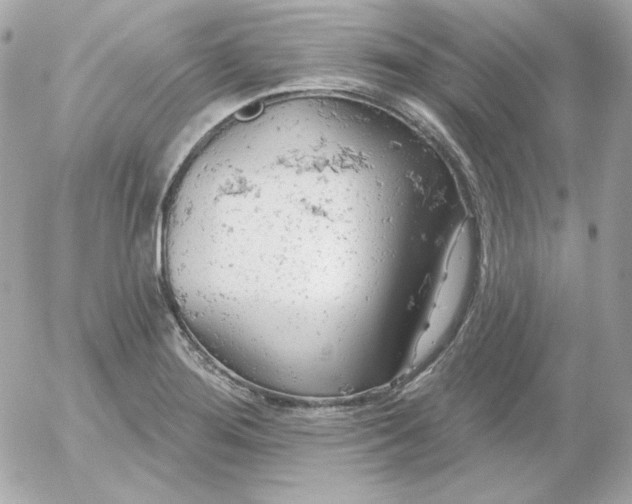 X0000052941276200507221137