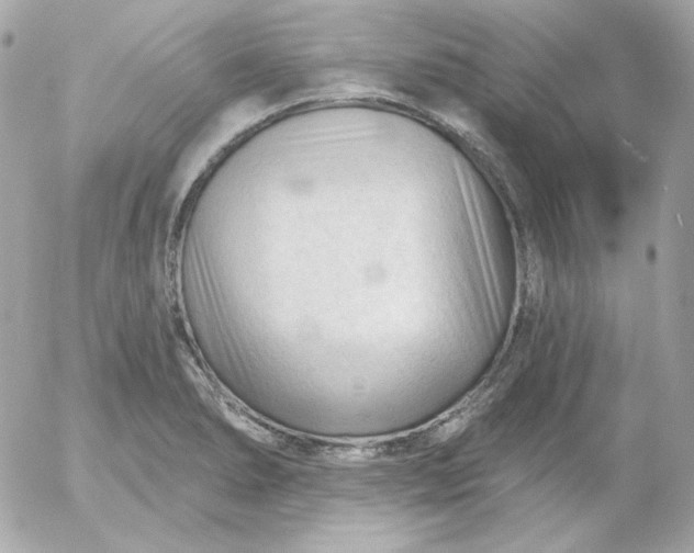 X0000052941278200507221137