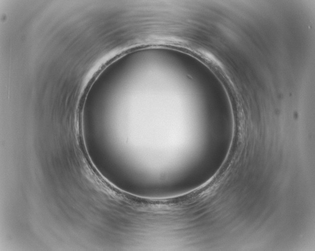 X0000052941280200507221137