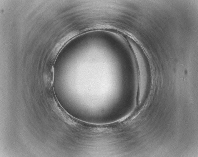 X0000052941281200507221137