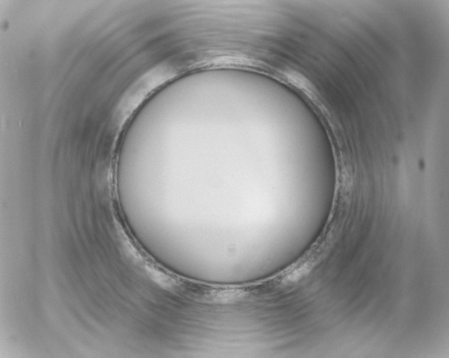 X0000052941282200507221137