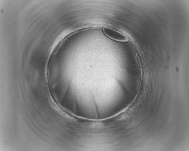 X0000052941283200507221137