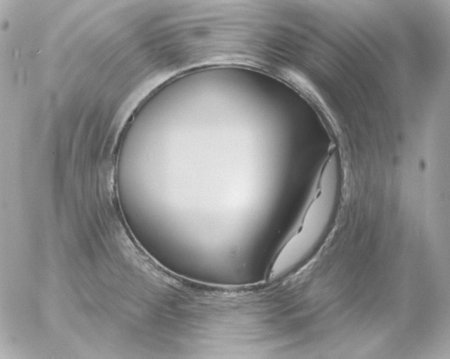 X0000052941284200507221137