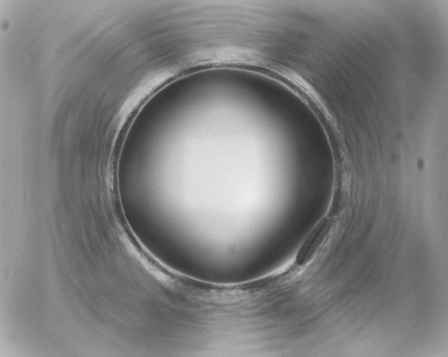 X0000052941285200507221137