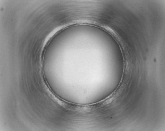 X0000052941286200507221137