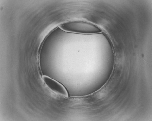 X0000052941287200507221137