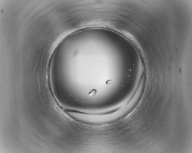 X0000052941288200507221137