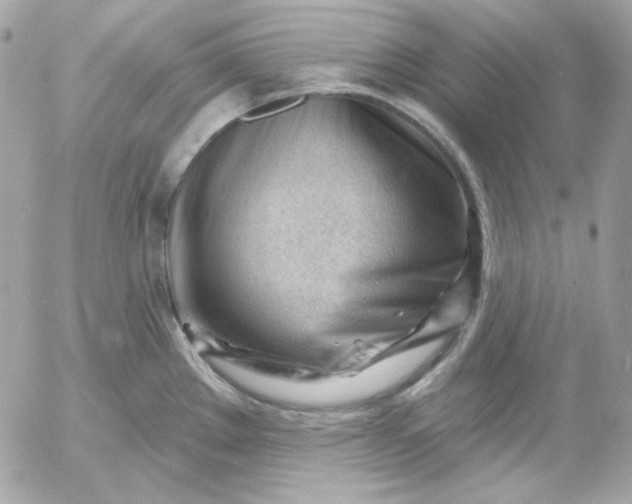 X0000052941289200507221137