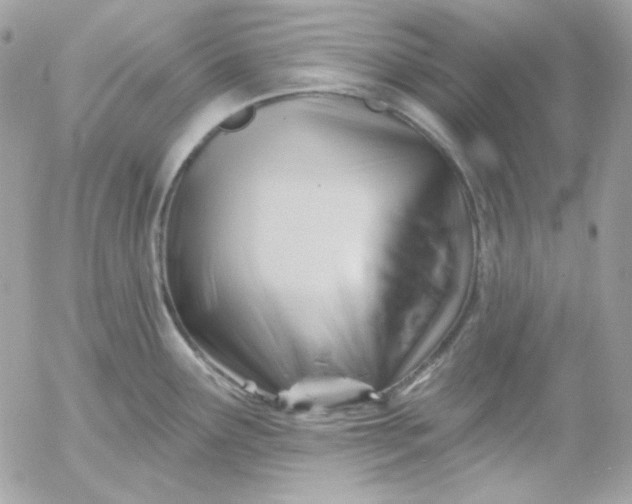 X0000052941291200507221137