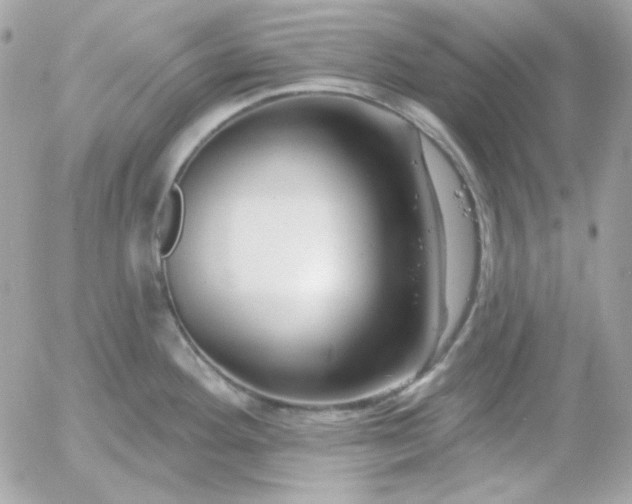 X0000052941292200507221137