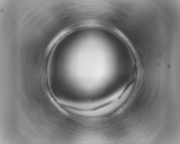 X0000052941293200507221137