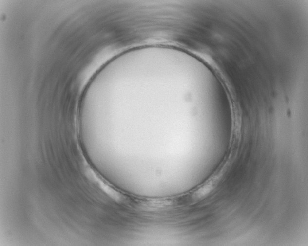 X0000052941294200507221137