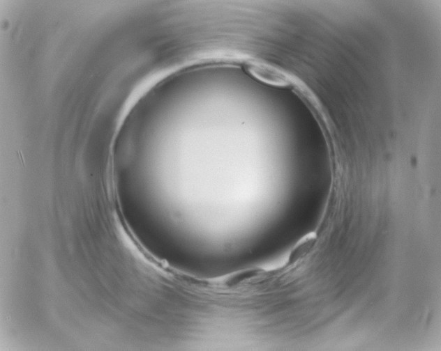 X0000052941295200507221137