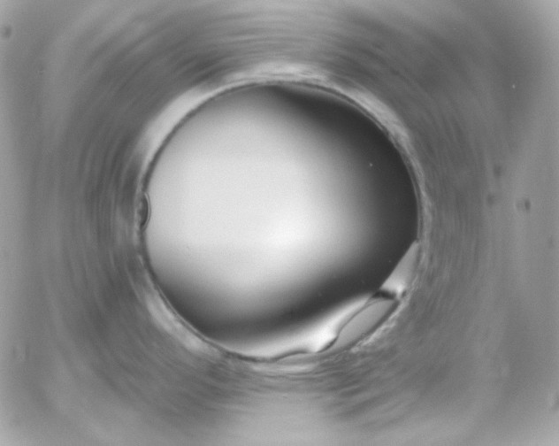 X0000052941296200507221137