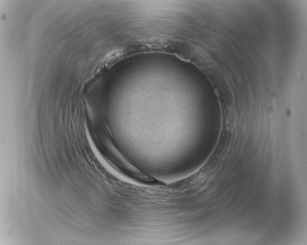 X0000052941298200507221136