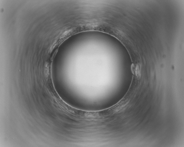 X0000052941299200507221136