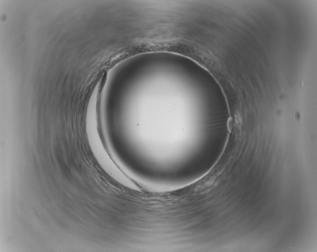 X0000052941300200507221136