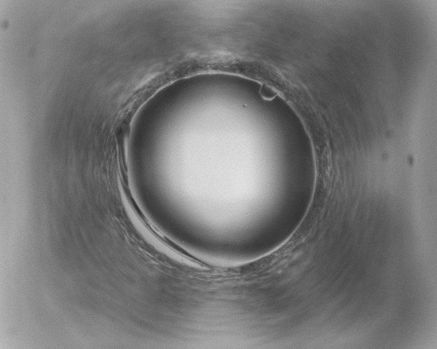 X0000052941301200507221136