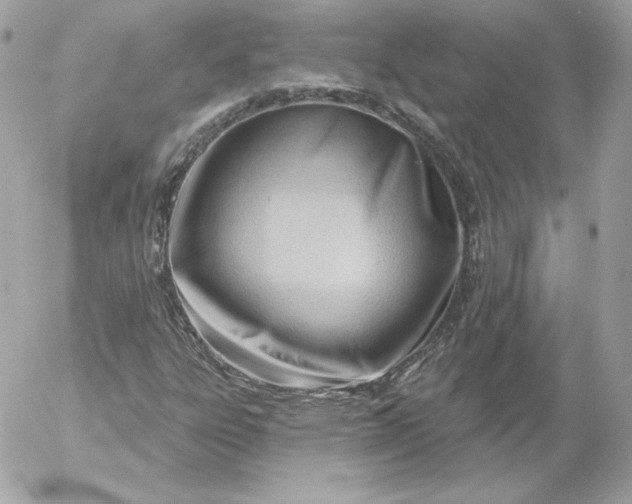 X0000052941303200507221136